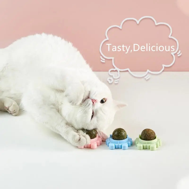 Catnip Energy Ball Snack WigglyTailNeeds