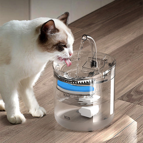 Smart Cat Water Fountain WigglyTailNeeds