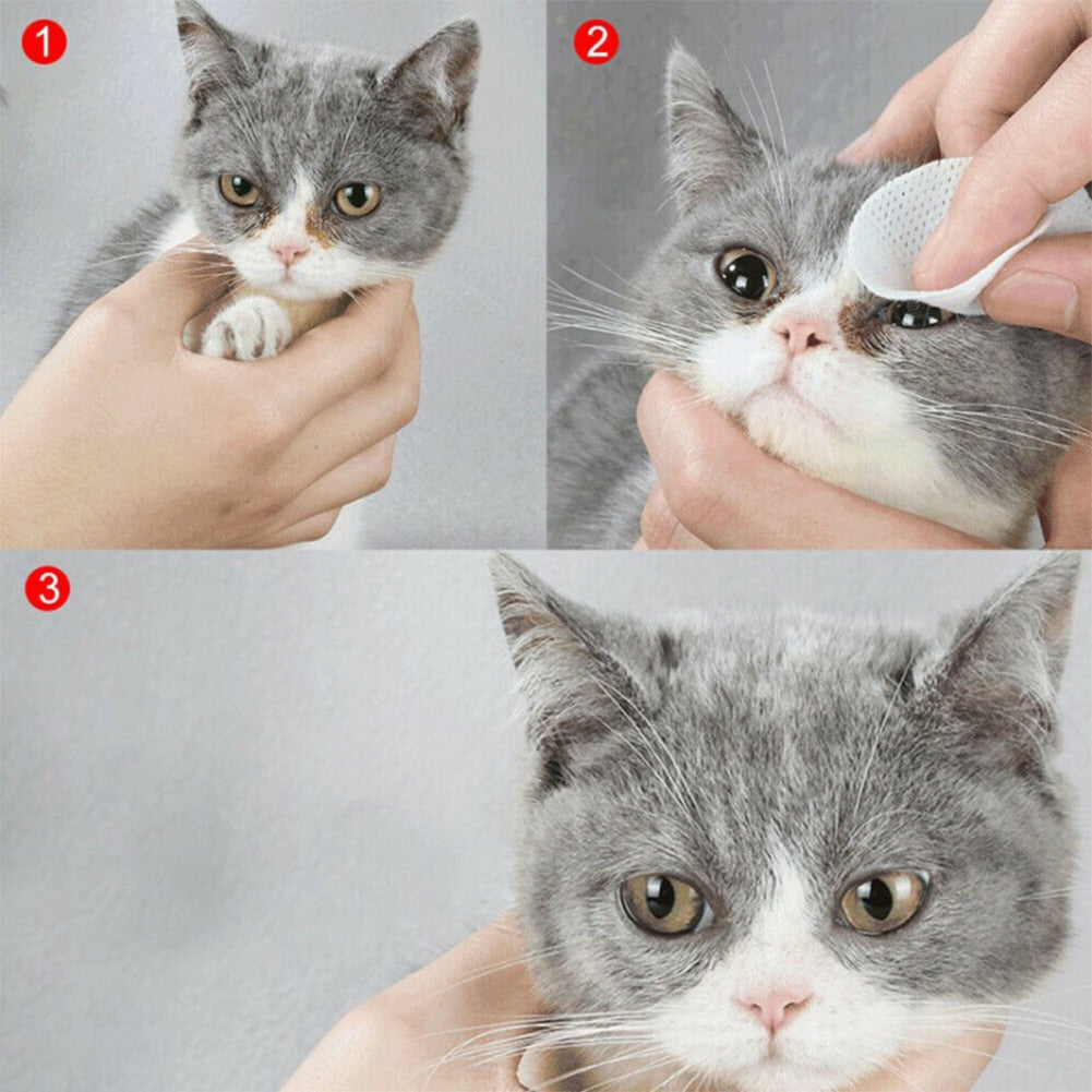 Pet Wet Wipes WigglyTailNeeds