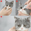 Pet Wet Wipes WigglyTailNeeds